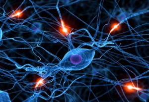 nöron ağları