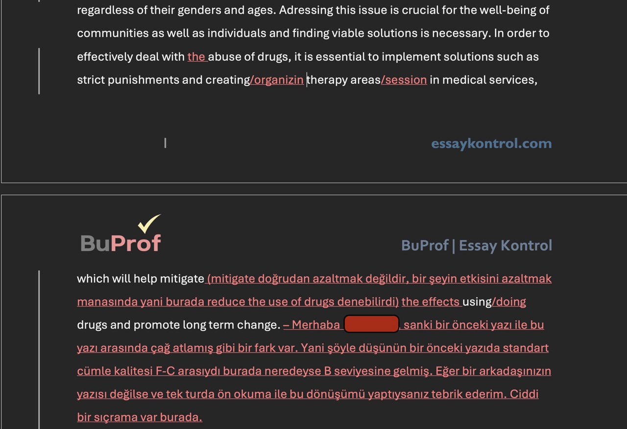 essay kontrol buprof huseyin demirtas ingilizce